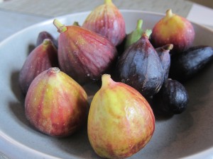 Fresh Figs