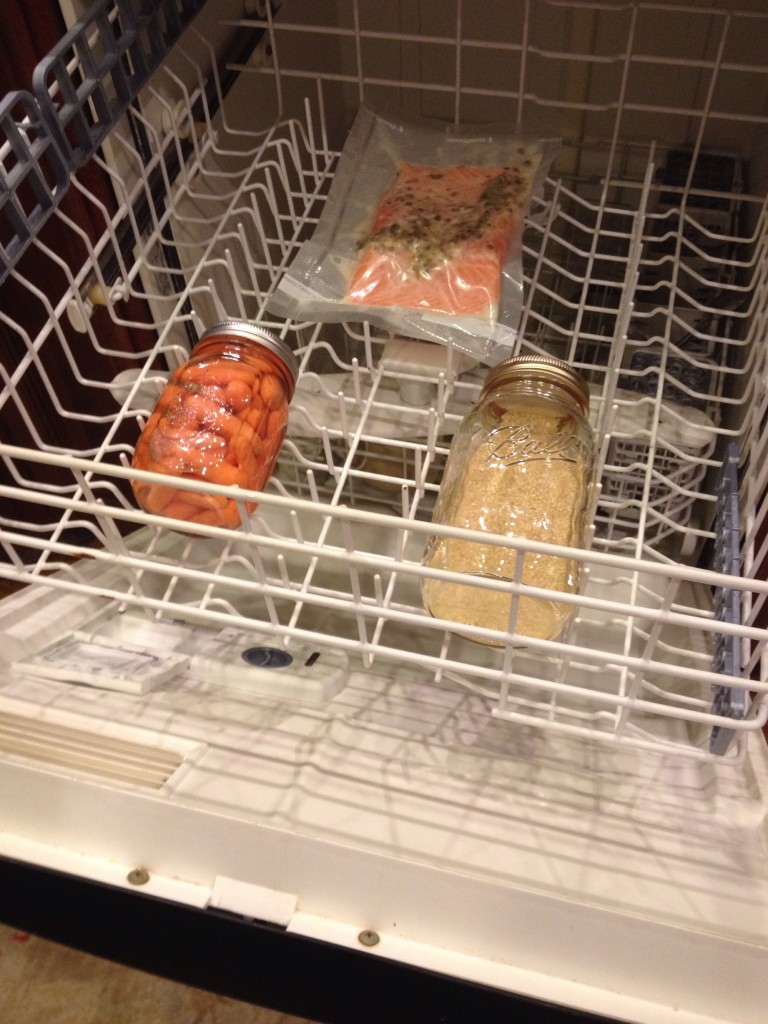 Dishwasher Salmon2