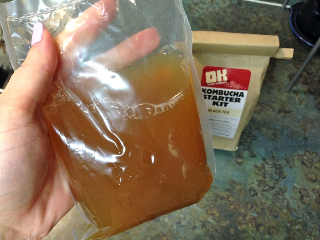 Oregon Kombucha kit with pouch full of small scoby and kombucha starter liquid.