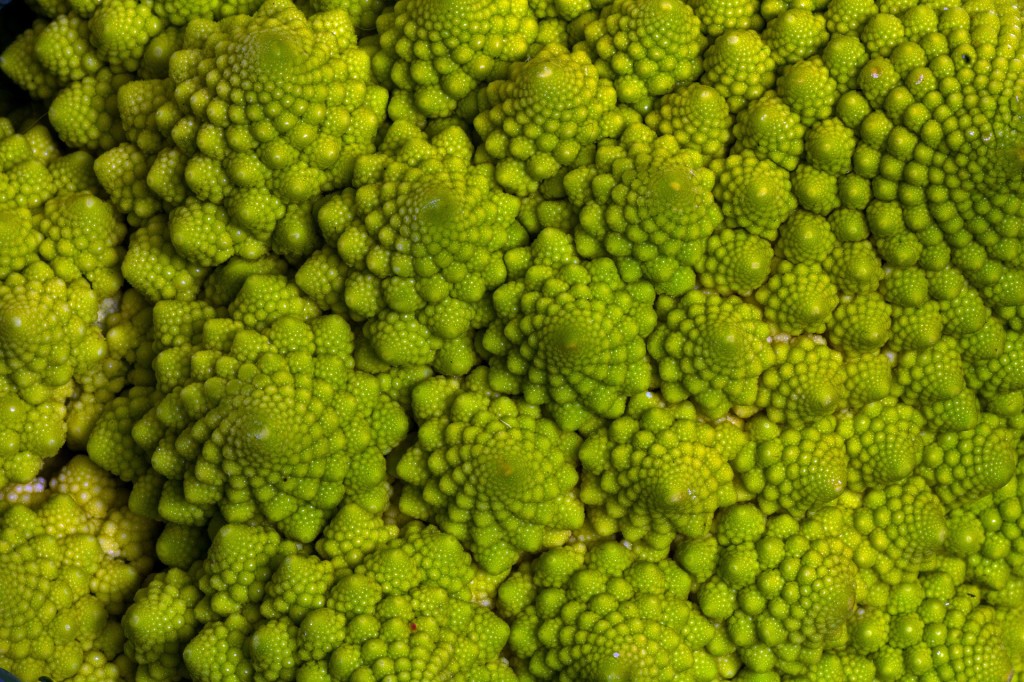 cauliflower1