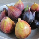 Fresh Figs