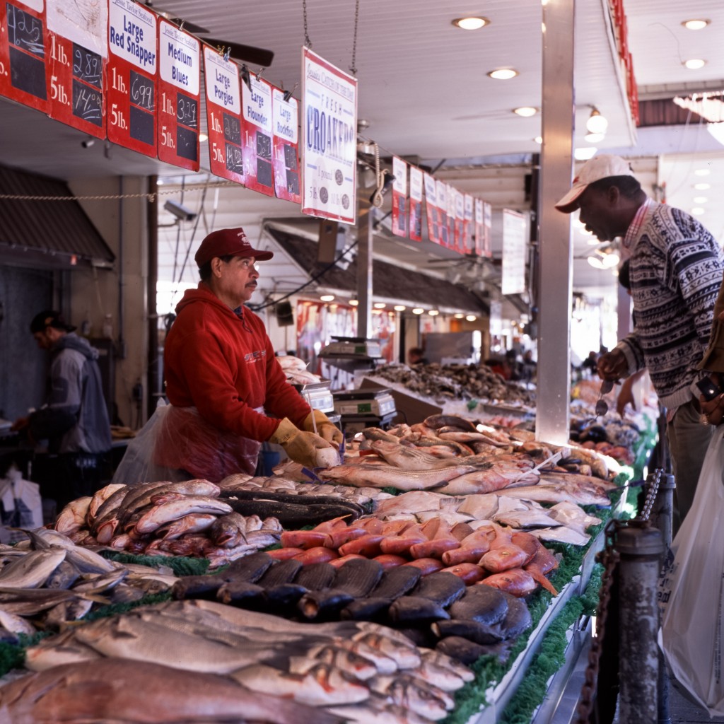Celebrating Seafood: Sustainability And Sourcing | We The Eaters